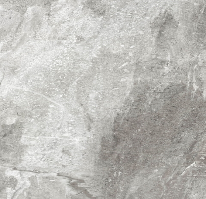 FOSSIL WOOD - NIRO GRANITE